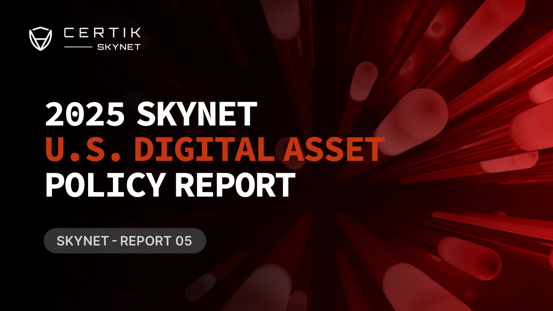 Skynet U.S. Digital Asset Policy Report